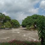  5000m2 - 3