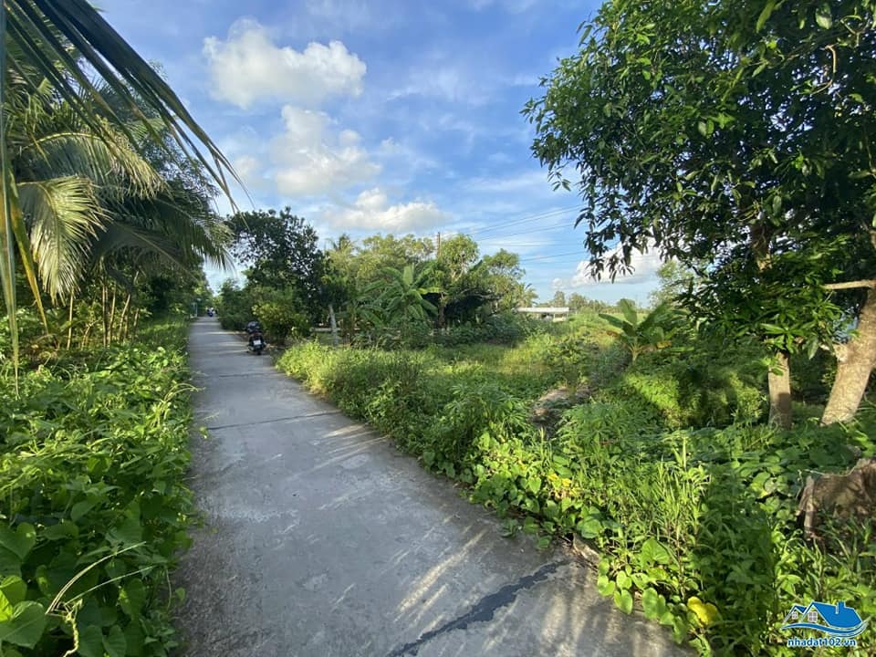 BÁN GẤP MẢNH ĐẤT GÓC 2MT 1950m2 THỔ CƯ ĐỐI DIỆN CHỢ, SÁT KCN. GIÁ 300TR