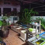  60m2 - 6