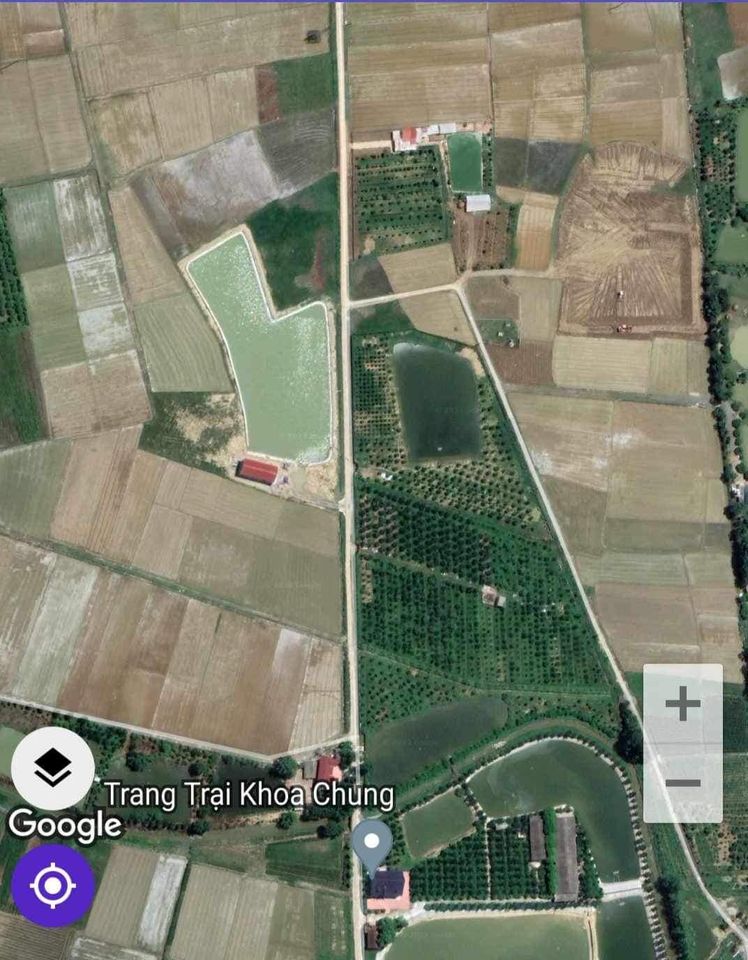 Chính chủ cần bán trang trại có sẵn ao cá, vườn cây, Yên Hùng,Yên Định, Thanh Hóa.