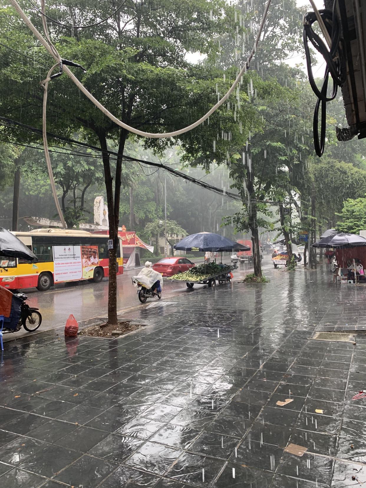 Bán biệt thự BT2 Bắc Linh Đàm mặt đường Nguyễn Hữu Thọ đối diện CV Linh Đàm 160m MT7m 4x tỷ hè rộng.