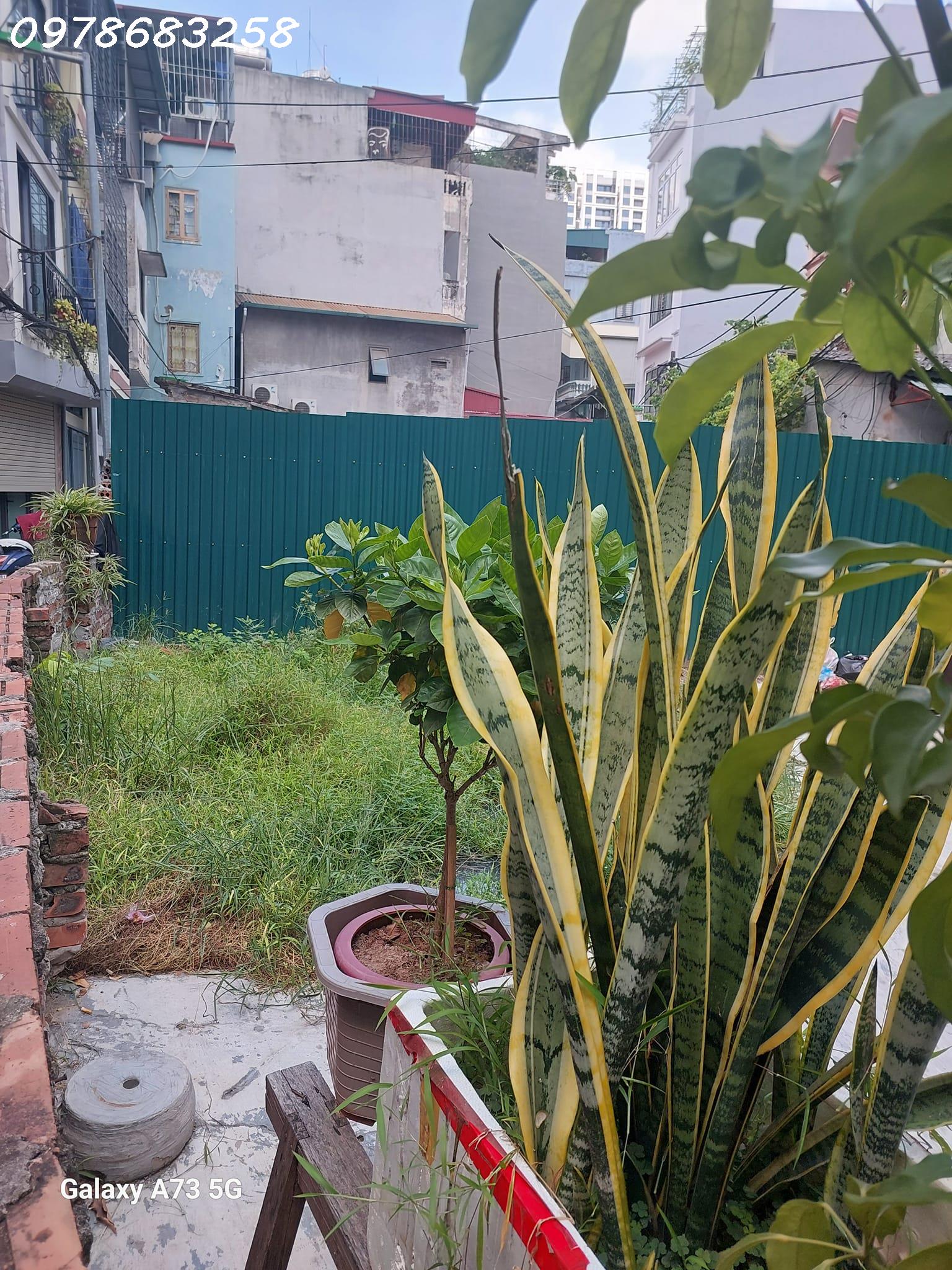 Nhà phố Nguyễn An Ninh - Đất rộng - Kinh doanh - Online.