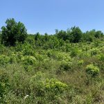  6200m2 - 5