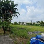  150000m2 - 1