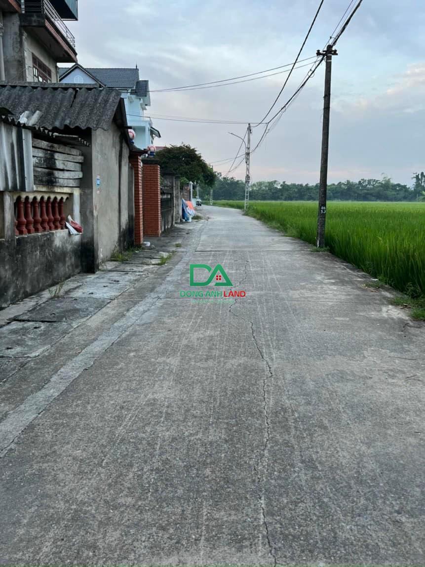 Bán đất 43.3m2 Đài Bi Uy Nỗ Đông Anh gần công viên Kim Quy.