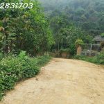  828m2 - 1