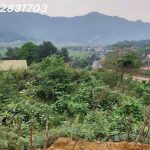  828m2 - 3