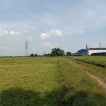  150000m2 - 3