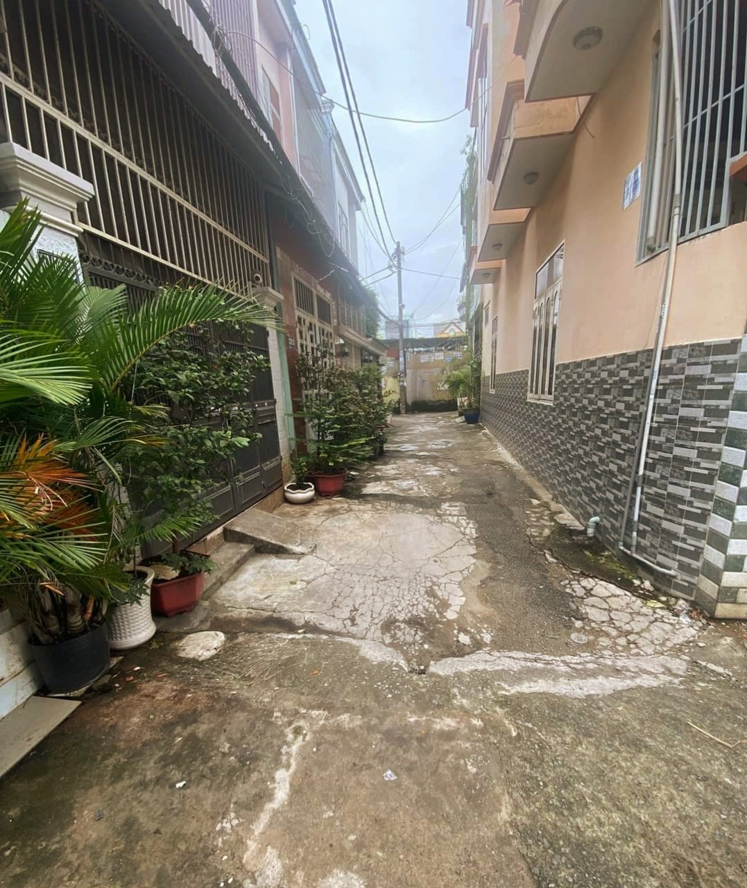 HXH F15 TÂN BÌNH 42M2 chỉ nhỉnh 3 Tỷ 5 đường Nguyễn Sỹ Sách.