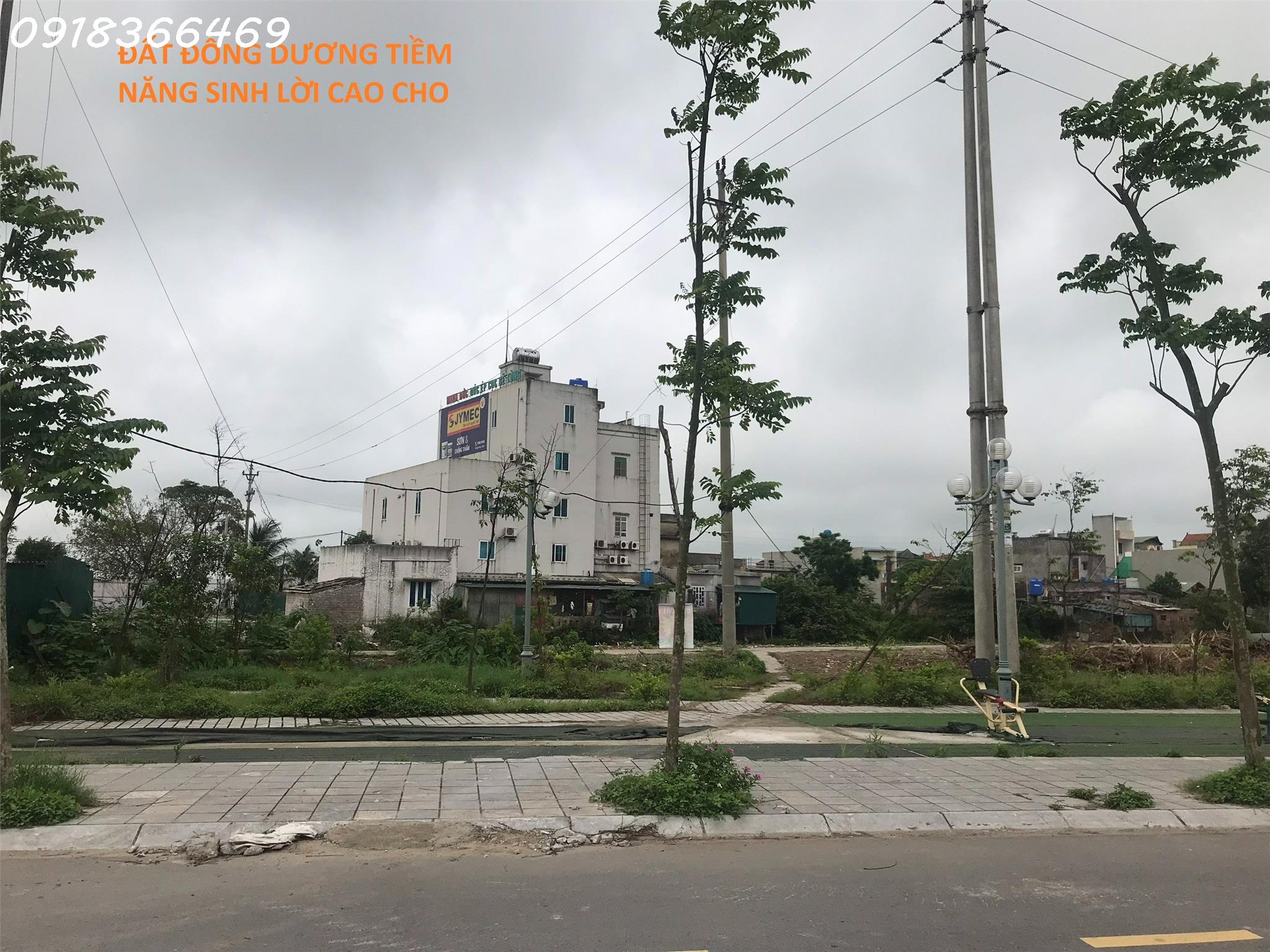 chính chủ cần tiền nên bán gấp đất dự án Green Park Đông Hưng, tỉnh Thái Bình giá 5.9 tr/m2, dt 125 đến 186m2.