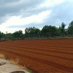  500000m2 - 3