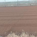  500000m2 - 6