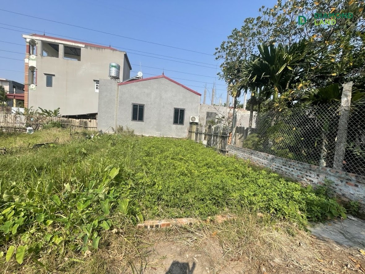 Hàng đẹp chốt nhanh kẻo hết.