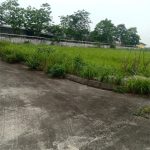  500000m2 - 3