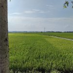  150000m2 - 6