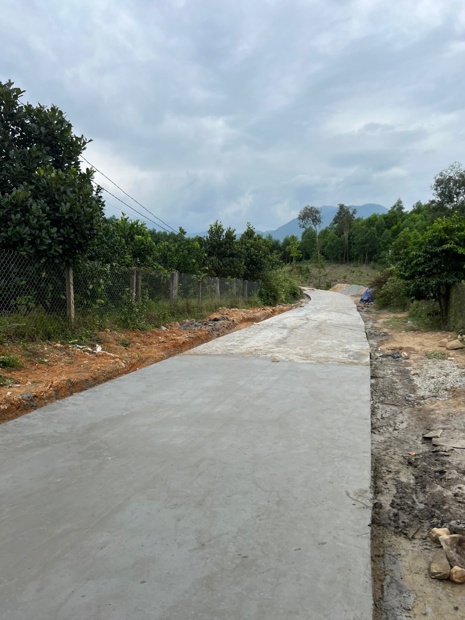 Bán vườn bưởi Khánh Bình đường oto cách Ủy ban xã chỉ 800m