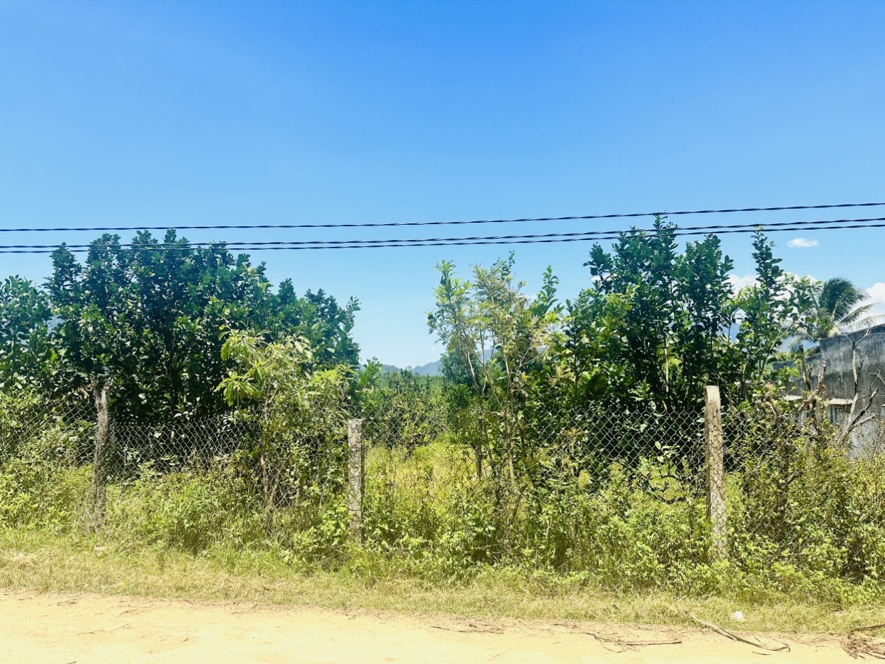 Bán vườn bưởi Khánh Hiệp có thổ cư gần Ủy ban xã.