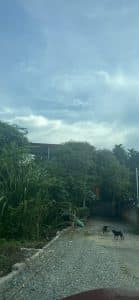 chính chủ cắt lỗ gửi bán mảnh đất có diện tích 1080 m2.