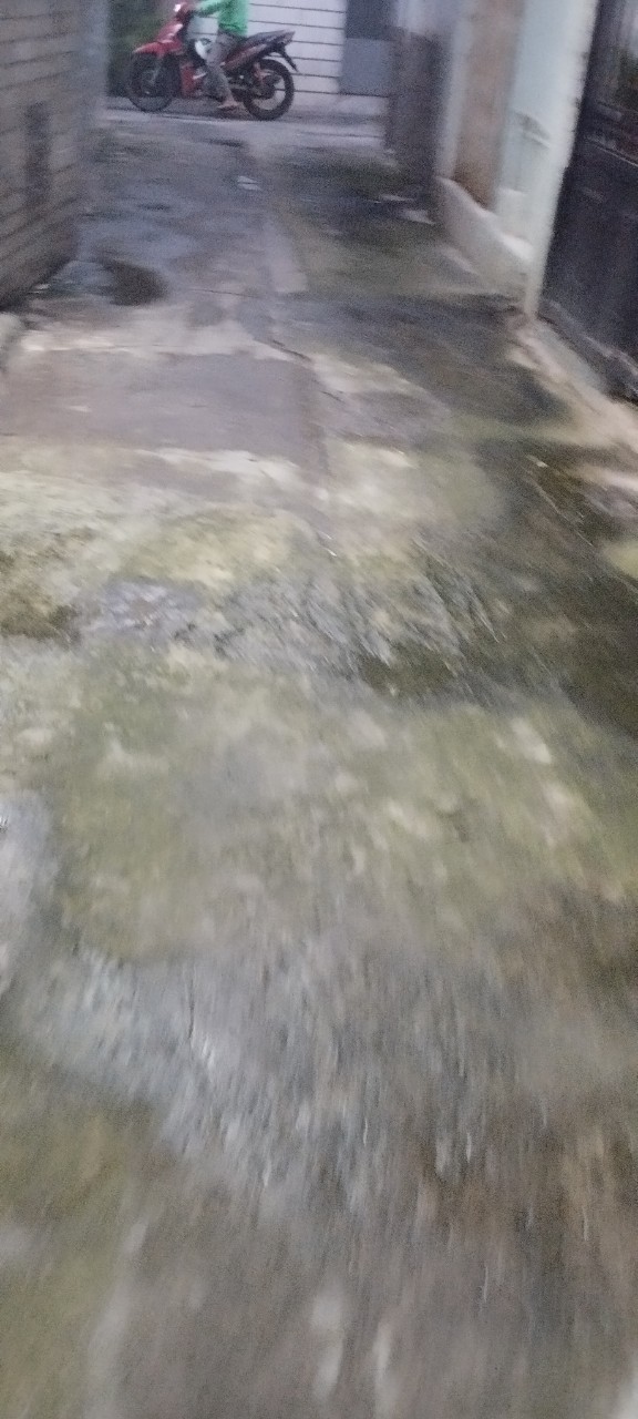 Nhà đẹp gần Quang Trung F12 Gò Vấp Ngang 4 dài 11 nhỉnh 4 Tỷ 4.