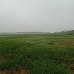  150000m2 - 4