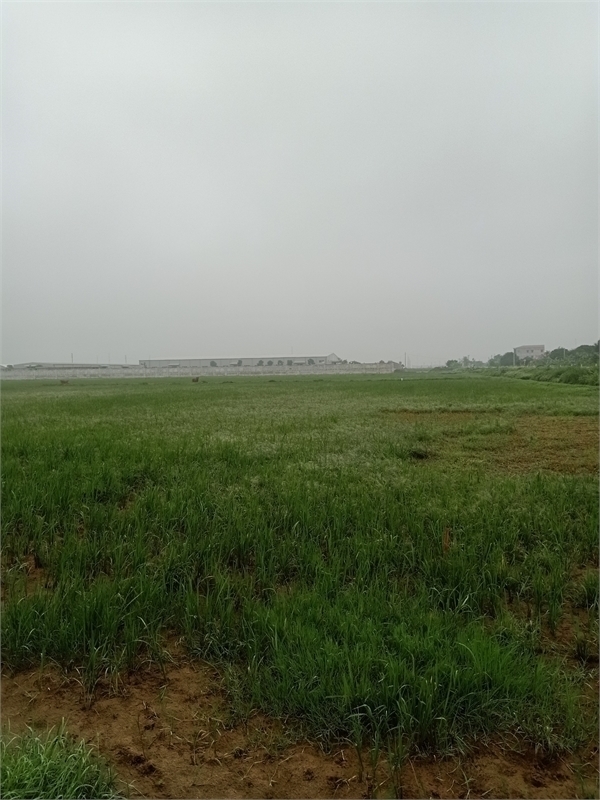 Cần bán 1,6ha đất công nghiệp 50 năm tại Xã Song Mai, Thành Phố Bắc Giang.