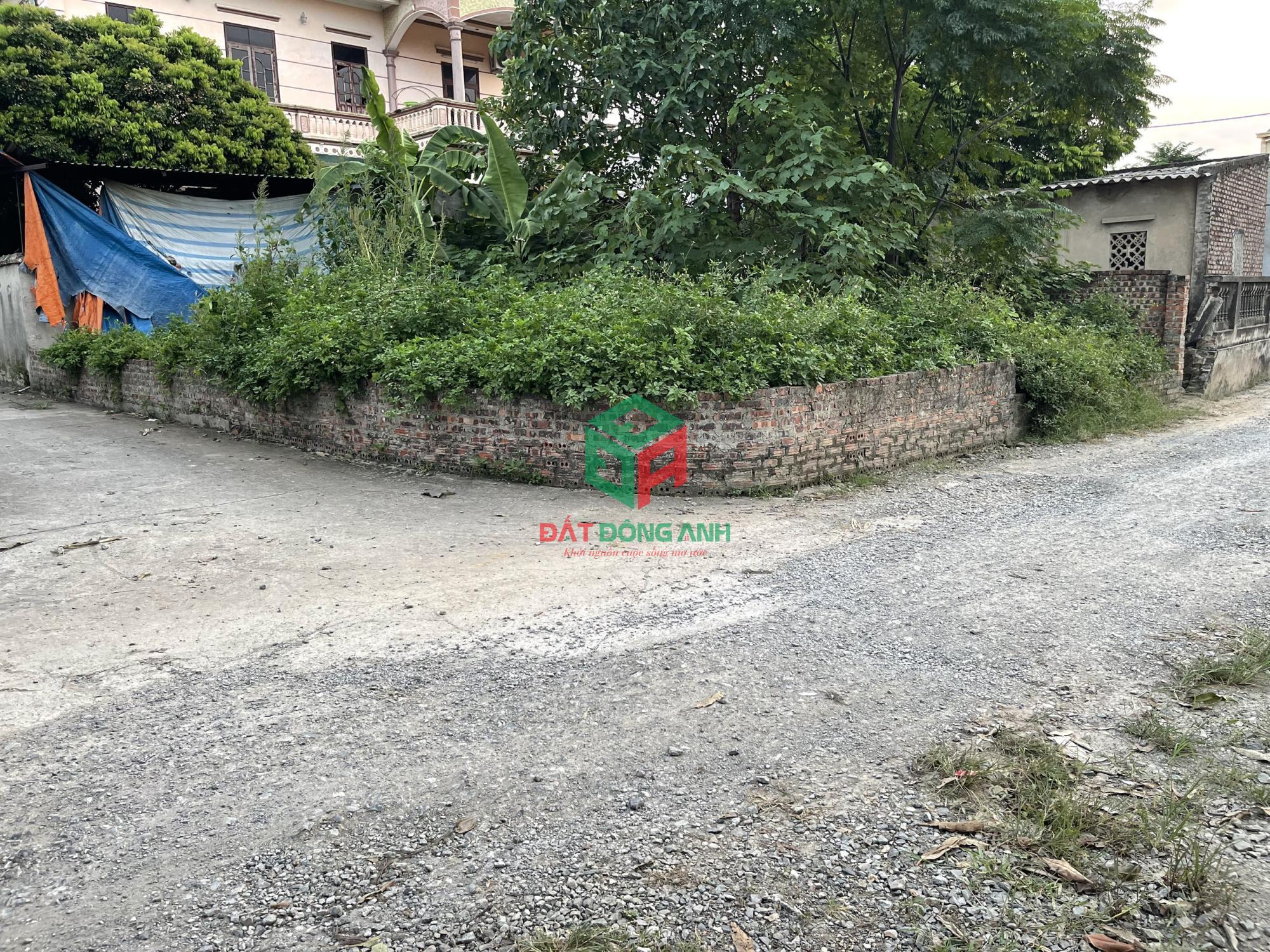 Bán 51.6m Tiên Hùng, Nguyên Khê - Lô góc - Bìa làng - Đường sắp mở 17m.