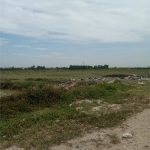  500000m2 - 1