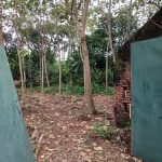  470m2 - 1