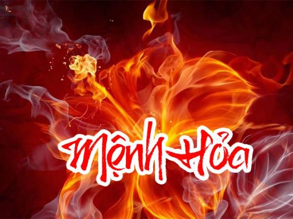 menh-hoa-mua-xe-mau-gi-1