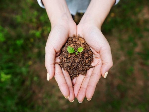 Tìm hiểu chung về người mệnh Thổ - mệnh Thổ mua xe màu gì menh-tho-mua-xe-mau-gi-1