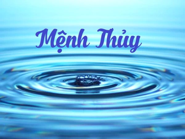 menh-thuy-hop-xe-mau-gi-1