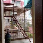 50m2 - 5