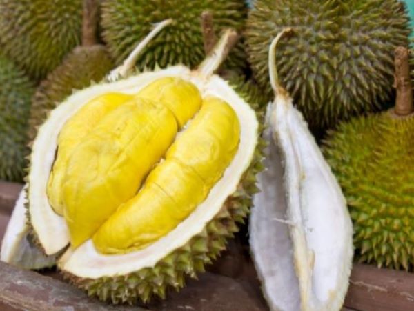 Sầu riêng có mùi nồng dễ gây khó chịu, các vong hồn có thể đến quấy nhiễu cho gia đạo đồng thời gây mất hòa thuận trong gia đình thang-co-hon-kieng-an-gi-4