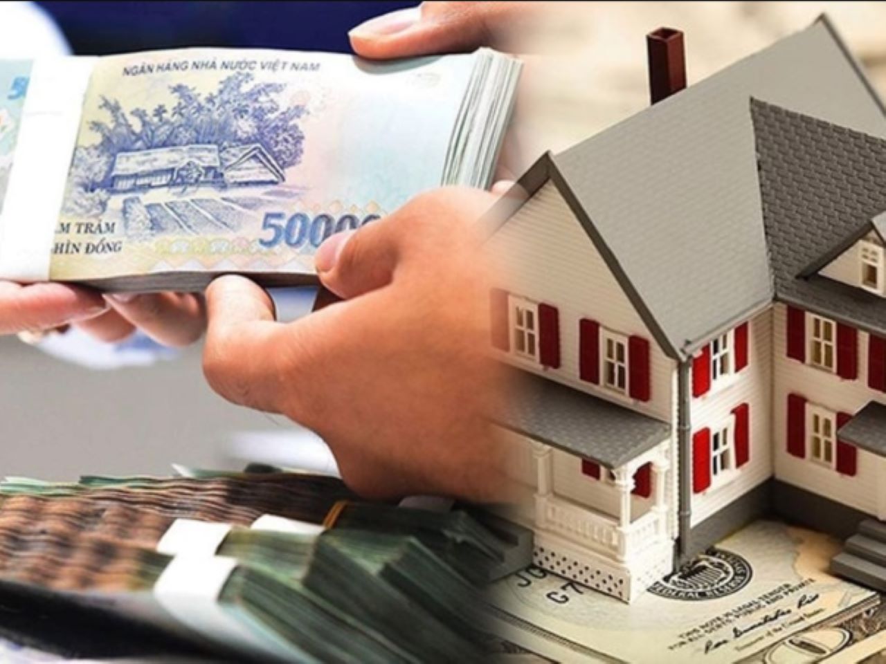 tuoi-dinh-mao-mua-nha-nam-2023