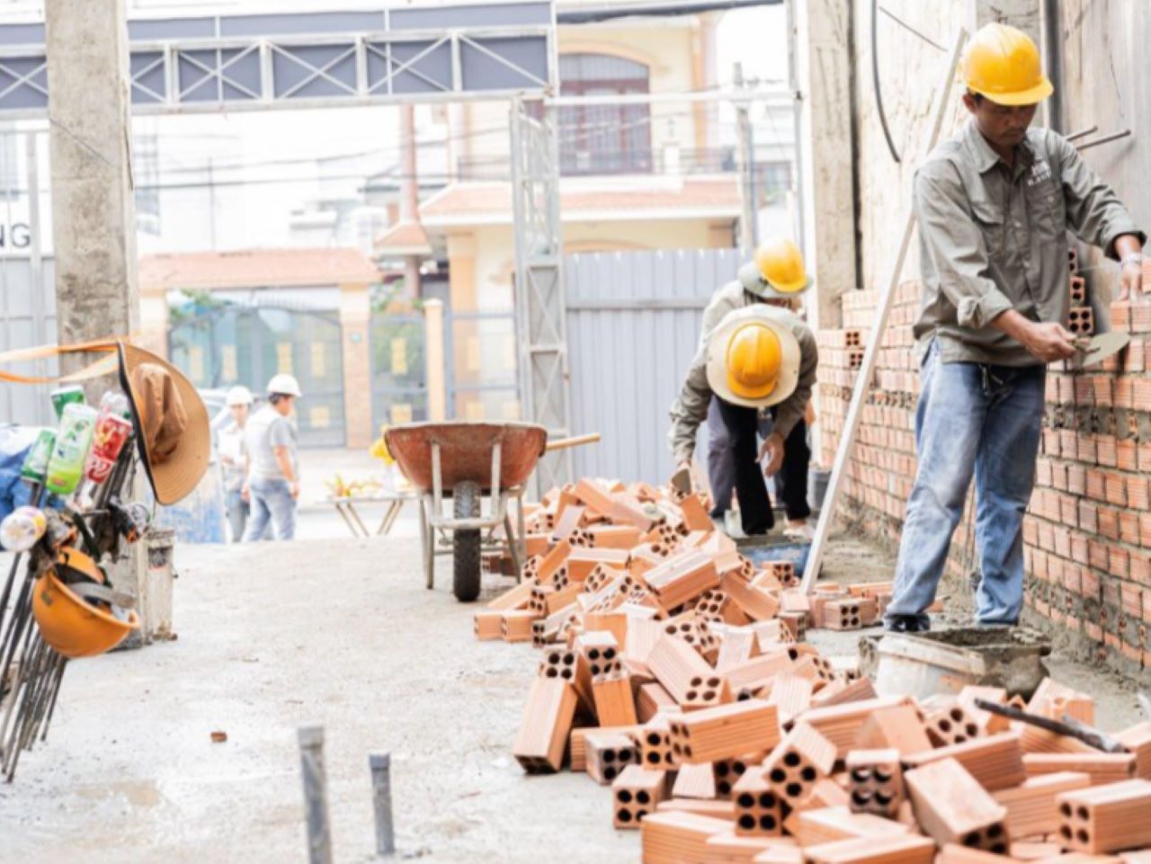 tuoi-dinh-ty-lam-nha-nam-2024