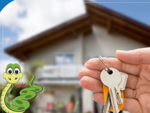 tuoi-ky-ty-mua-nha-nam-2023