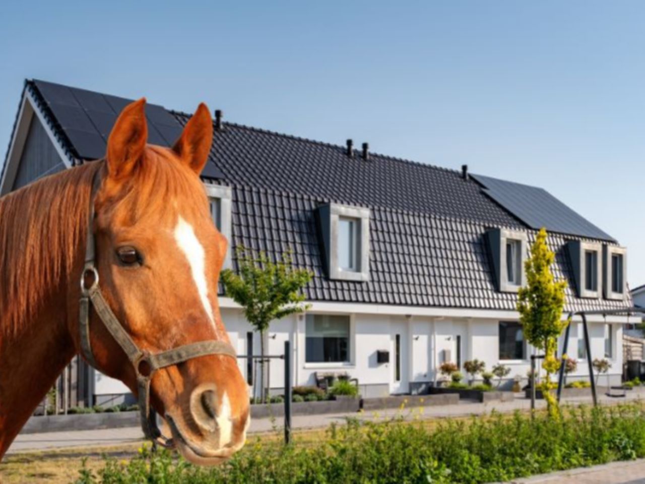 tuoi-mau-ngo-1978-xay-nha-nam-2024