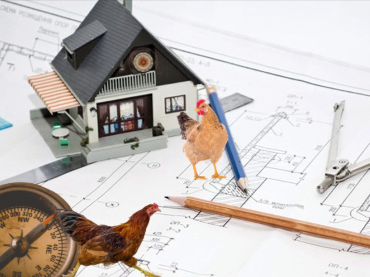 tuoi-quy-dau-mua-nha-nam-2023