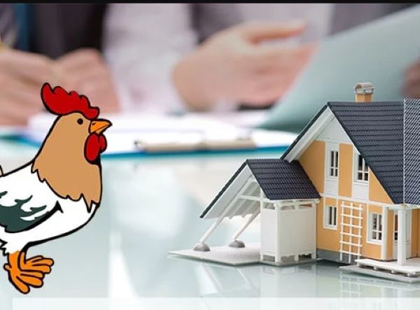 Chọn ngày làm nhà năm 2023 là một vấn đề phong thủy được rất nhiều người quan tâm, đặc biệt đối với những người sinh năm 1981 tuoi-tan-dau-lam-nha-nam-2023
