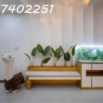  70m2 - 5