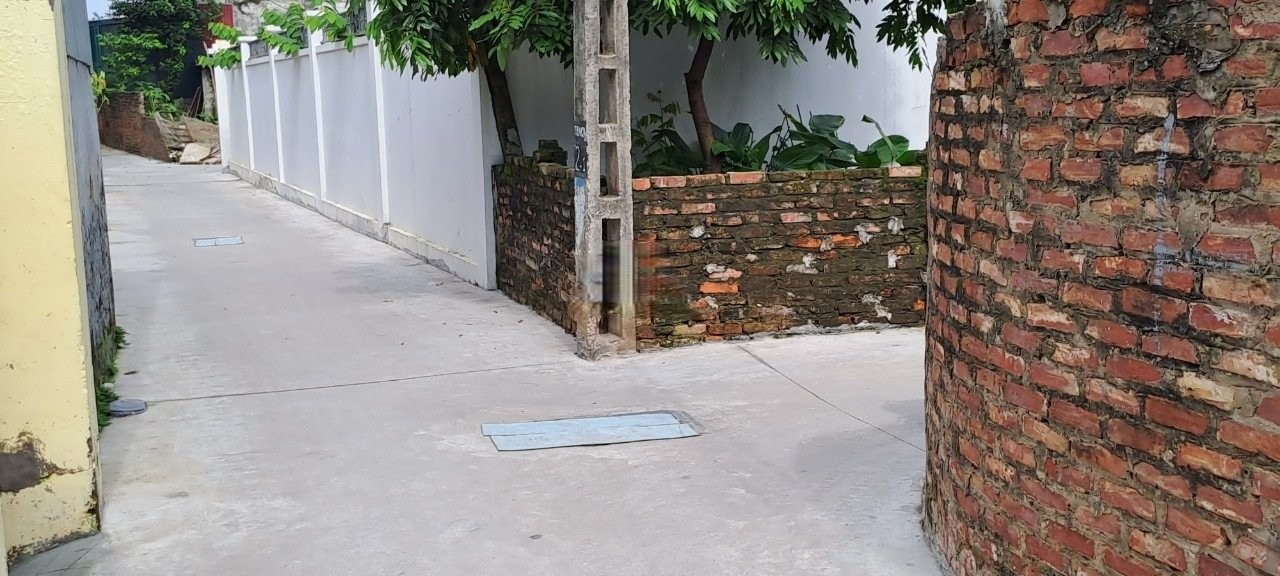 Bán 50m2 đất Cổ Dương Tiên Dương - ngõ thông ô tô chỉ 3x.