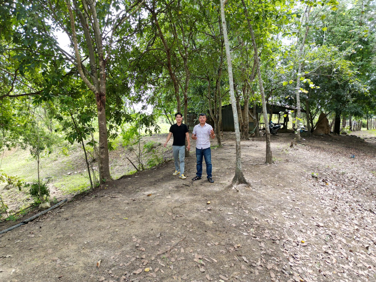 CẦN BÁN Gấp Đất Lô Góc 2 MT Nguyễn Xiển P- Long Thạnh Mỹ Q9 6500m2 Chỉ 195 Tỷ.