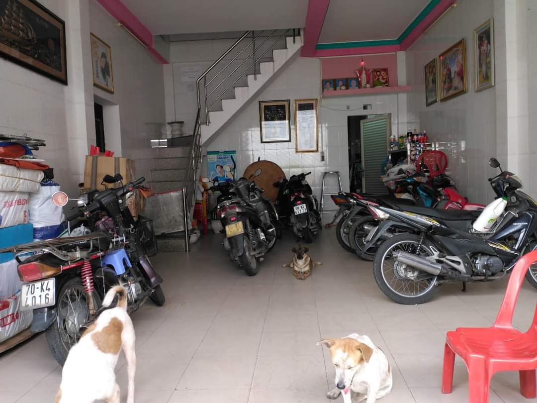 Giá quá rẻ! Chỉ 42tr/m2 ~ 12 tỷ. HXH Lê Văn Quới Bình Tân; Ngã Tư 4 Xã.