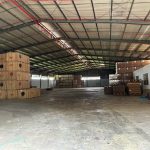  5000m2 - 3