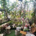  80m2 - 6