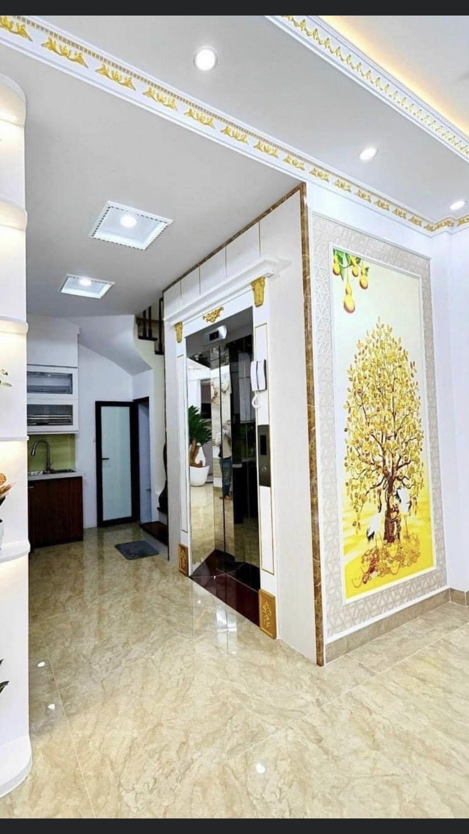 NHÀ PHỐ TÔ VÍNH DIỆN - THANH XUÂN, NHÀ ĐẸP LONG LANH, NỘI THẤT XỊN XÒ, THANG MÁY NHẬP KHẨU, Ô TÔ ĐÕ CỬA Ở SƯỚNG TUYỆT.