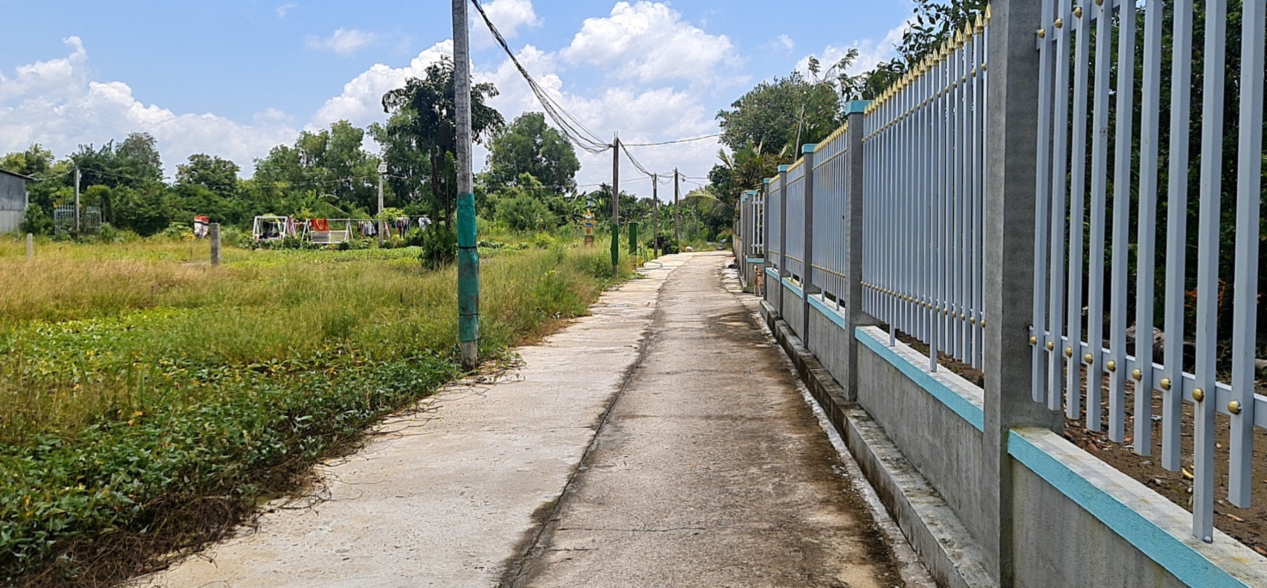 Chính Chủ Cần Bán Lô Đất Vị Trí Đẹp tại xã Phước Hậu, Cần Giuộc, Long an.