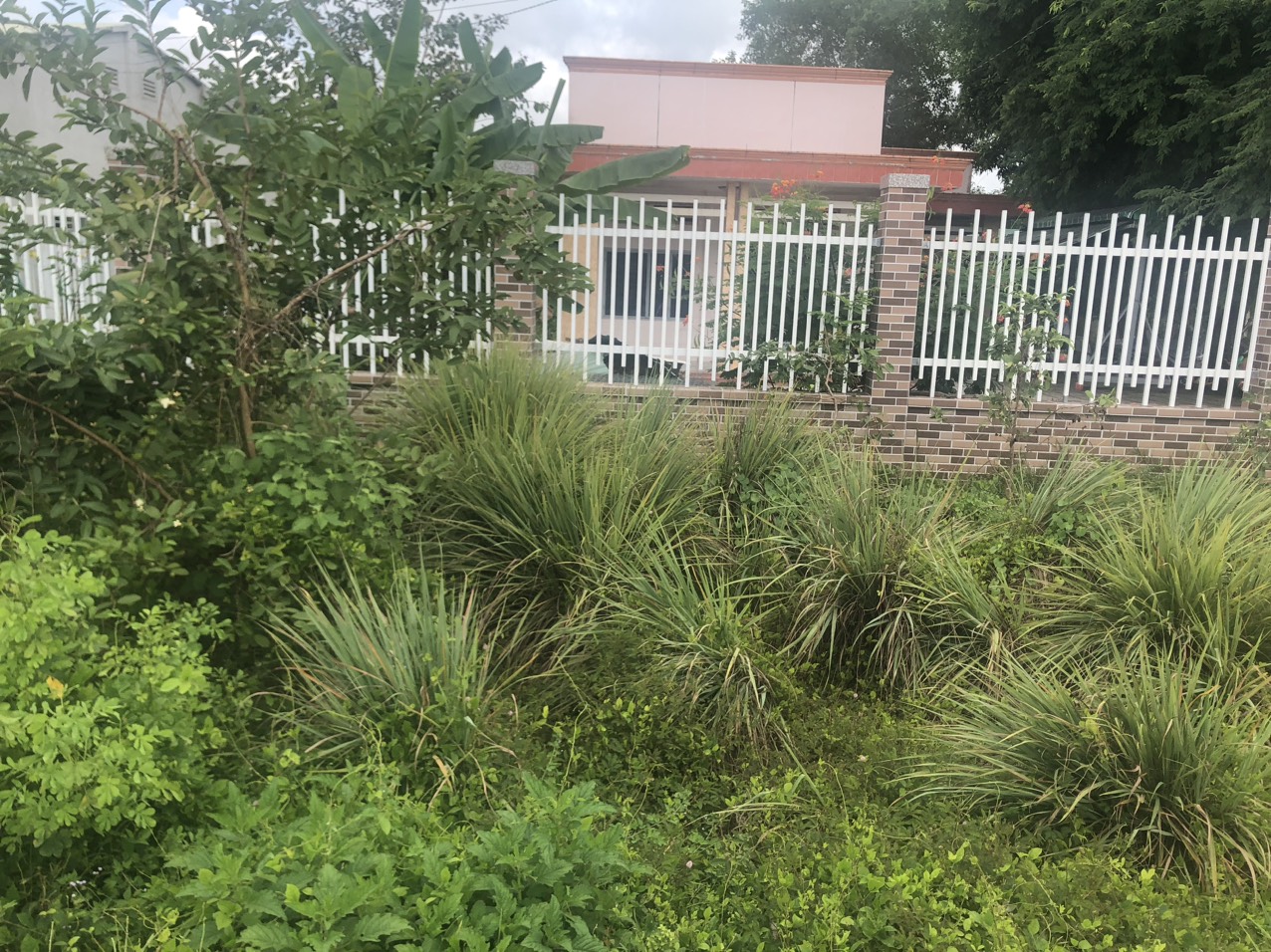 Cần Bán Lô mặt Tiền Vị Trí Đẹp Tại Huyện Châu Thành- Tỉnh Tây Ninh.