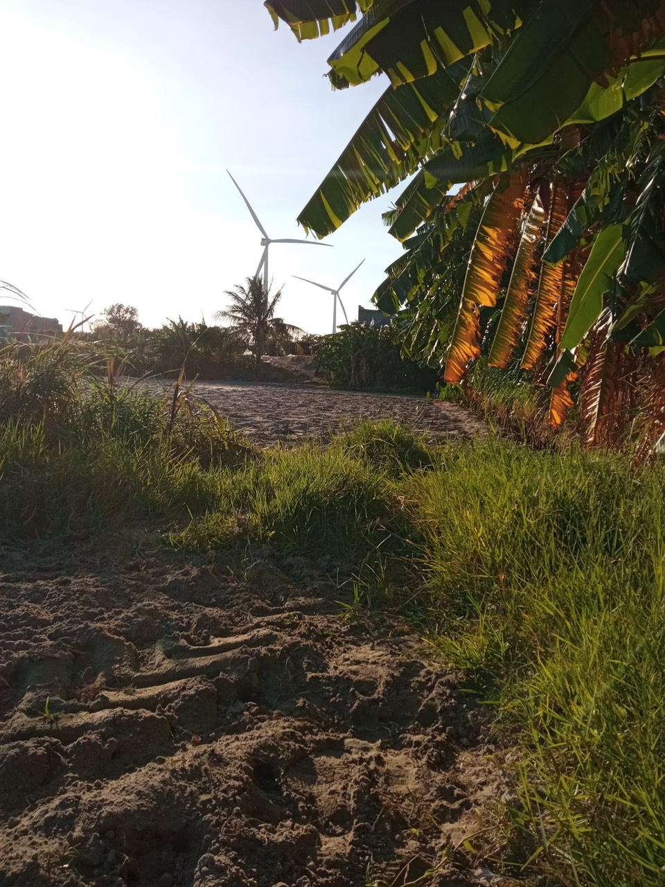 ^...^ Chính Chủ Cần Bán Lô Đất Tại xã Phú Lạc, Thị Trấn Liên Hương, Huyện Tuy Phong, Bình Thuận.