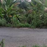  541m2 - 1